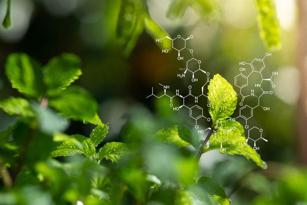 estrazione-co2-supercritica