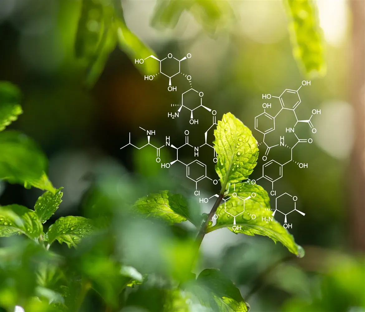 estrazione-co2-supercritica